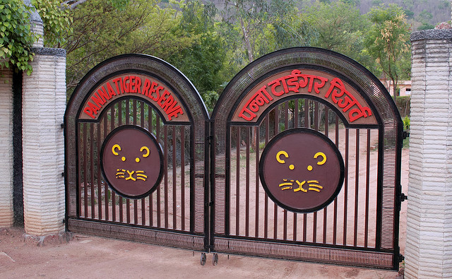 Panna national park